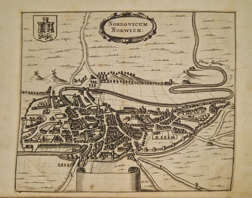 Norfolke Furies, and their Foyle