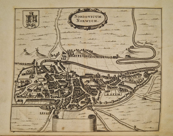 Norfolke Furies, and their Foyle