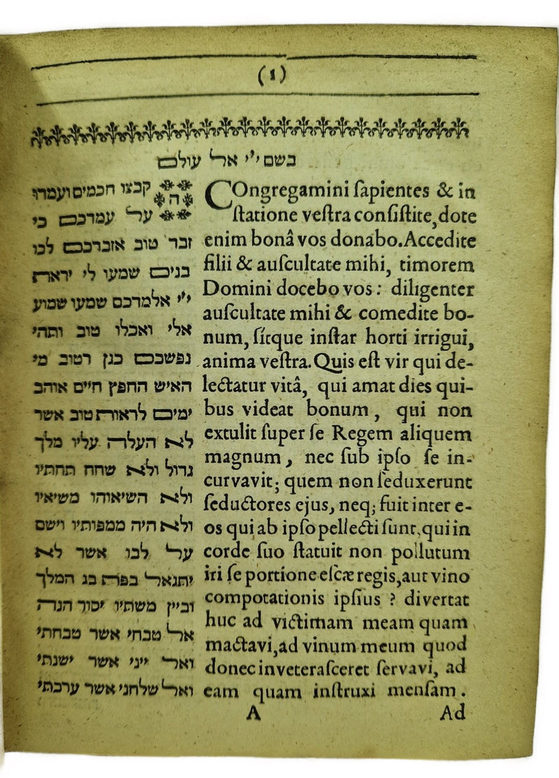 Bab Musi. Porta Mosis sive, dissertationes aliquot à R. Mose Maimonide