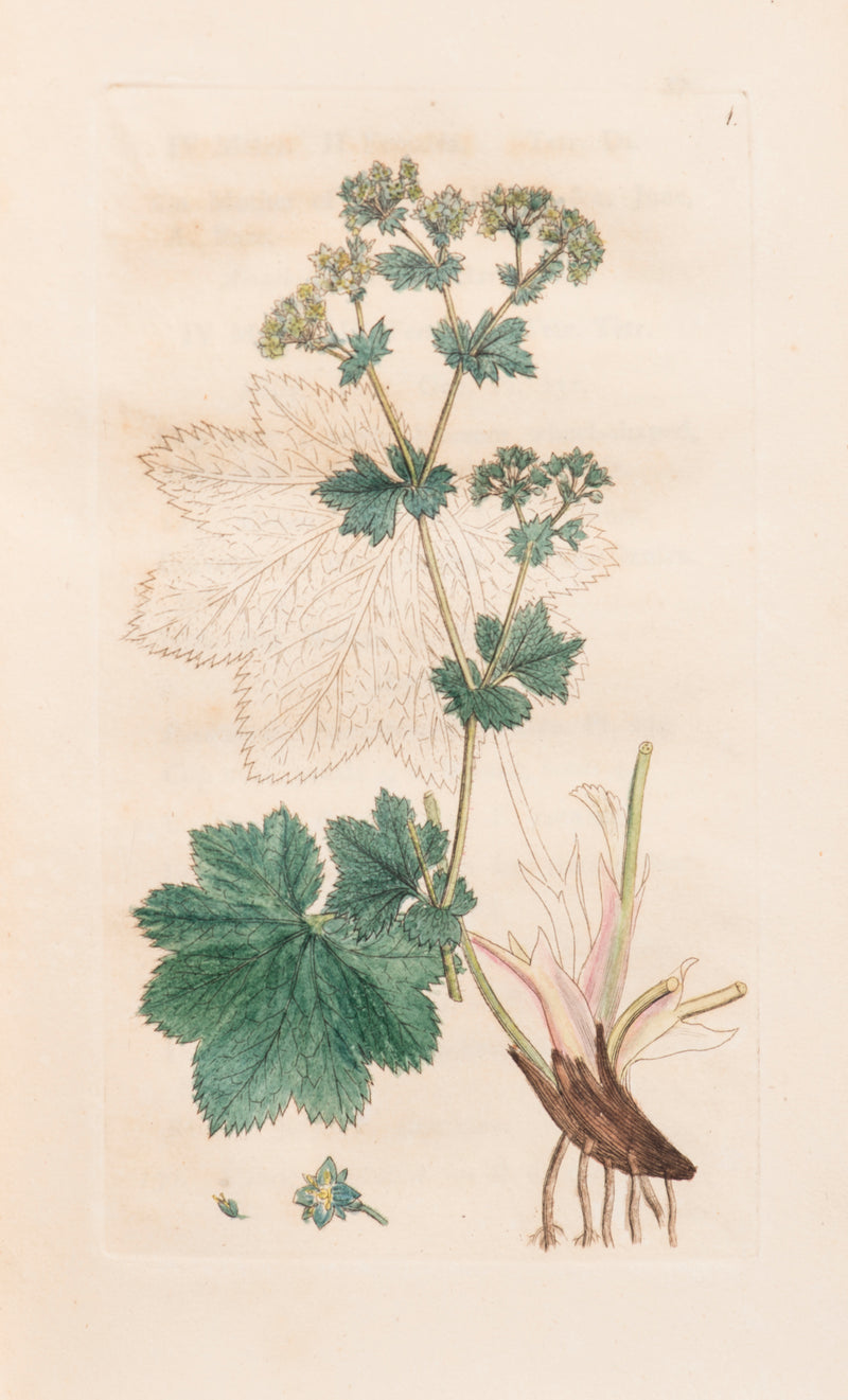 Flora Bedfordiensis