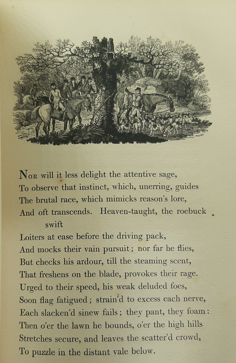 The Chase; A Poem