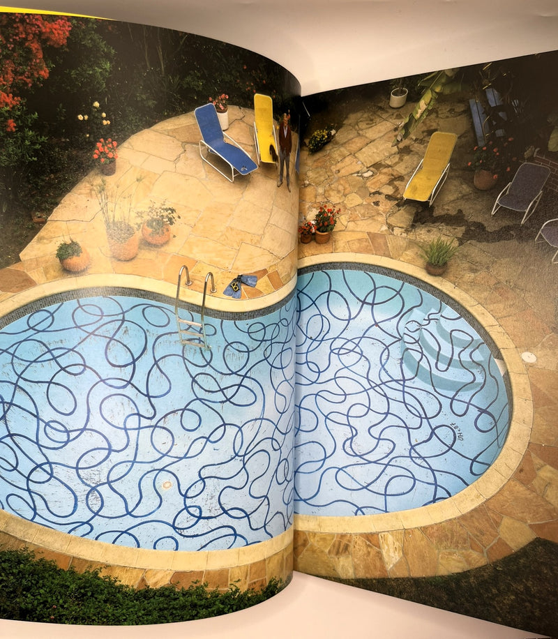 That's the Way I See It by David Hockney