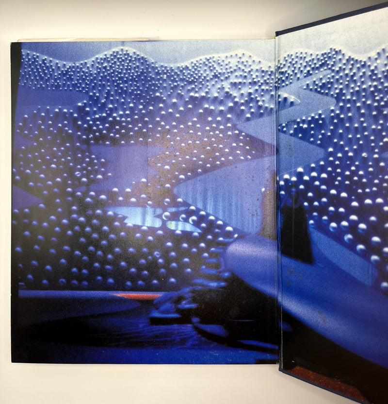 That's the Way I See It by David Hockney