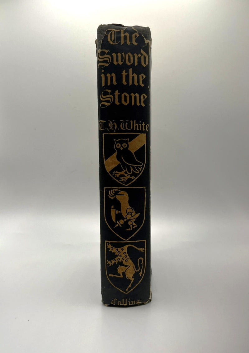 The Sword in the Stone