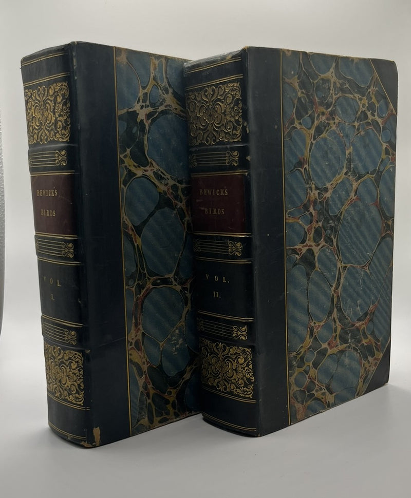 A History of British Birds