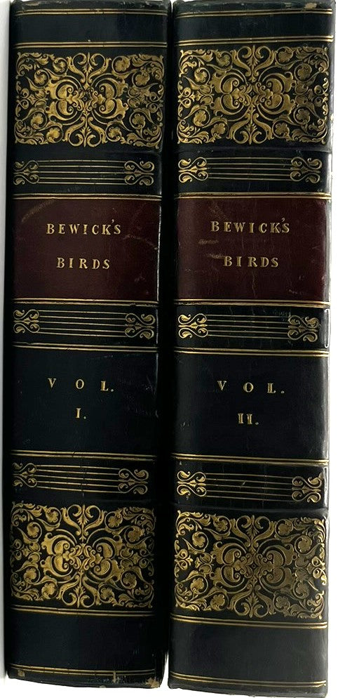 A History of British Birds