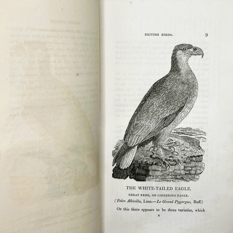 A History of British Birds