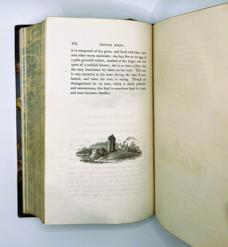A History of British Birds