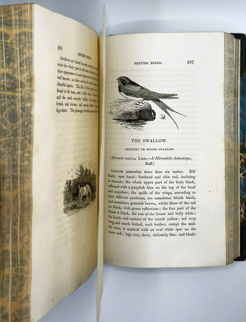 A History of British Birds