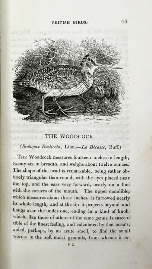 A History of British Birds