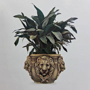 Plate from WHITE, John P. Garden Furniture and Ornament. Bedford: The Pyghtle Works. [c1915]