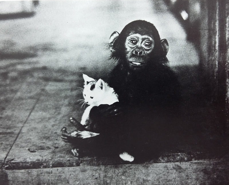 Catalog of an exhibition held at Odakyu Gurando Gyarari, Tokyo, March 19-31, 1982