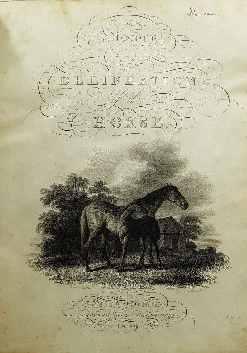 The History and Delineation of the Horse in all his varieties