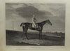 The History and Delineation of the Horse in all his varieties