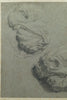 Drawing of Head and Mouth of horses from the Elgin Marbles
