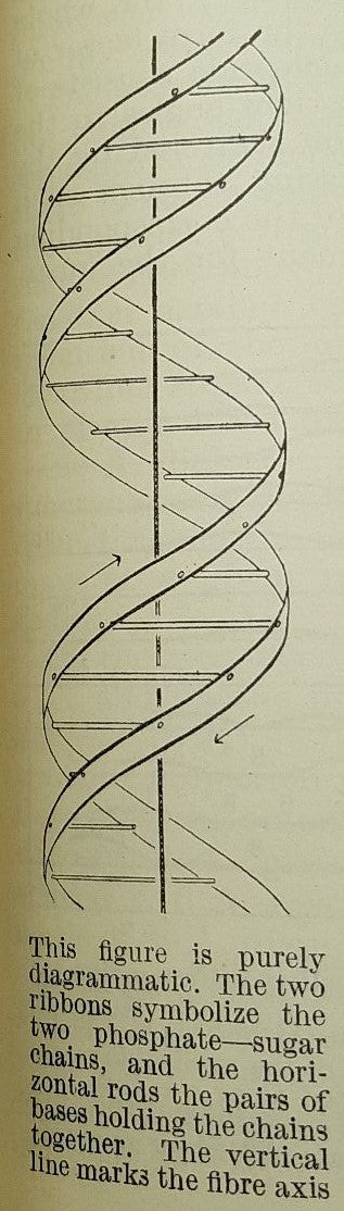 NATURE. A Weekly Journal of Science.