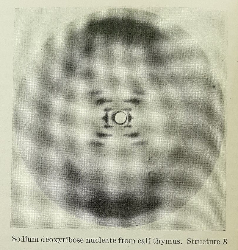 NATURE. A Weekly Journal of Science.